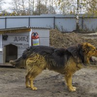 Повторяю сюда нельзя :: Сергей Цветков