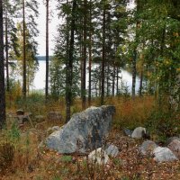 Страна Suomi. Берег озера Сайма. :: Лариса (Phinikia) Двойникова