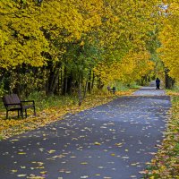 Осенние мотивы. :: Василий Аникеев