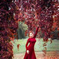 Красная осень :: Марина Макарова