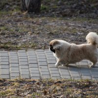 Самостоятельная. :: Владимир Безбородов