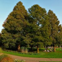 Hamburg. Planten un Blomen :: Nina Yudicheva