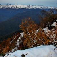 Осень в горах :: Виолетта 