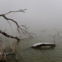 Гребцы в тумане - 2 :: Виктор Индюхин