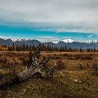 Путешествие по Тункинской долине. Бурятия. :: Rafael 