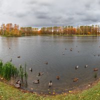 Осень в Парке Победы :: Александр Кислицын