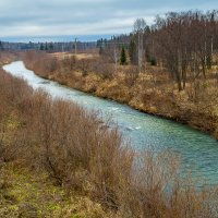 Река Барзас :: Владимир Деньгуб