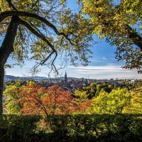 window in the autumn Bern :: Dmitry Ozersky