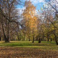 *** :: Владимир Безбородов