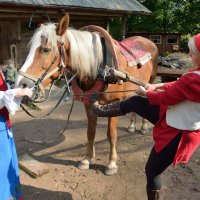 Конный праздник в Витославлицах (этюд 7) :: Константин Жирнов