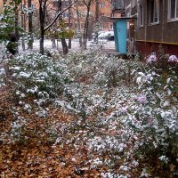Зима пришла в октябре :: Елена Семигина