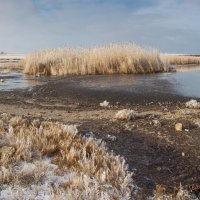 Морозный берег :: Алина Шостик