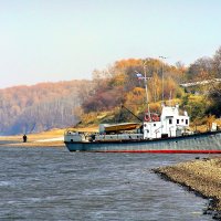 Осень на Амуре :: Николай Сапегин