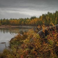 Осень на реке :: П.И. Олейник 