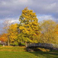 г. Петрозаводск, Карелия :: Маргарита Си 