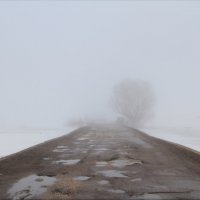 В туман :: Ninell Nikitina