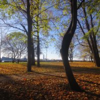 в Петровском парке Кронштадта :: Елена 