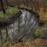 Речка Серебрянка :: Андрей Лукьянов