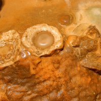 яичница из сталактита созданая миллионами лет :: Naum 