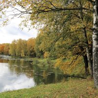 Осень :: Владимир Холодницкий