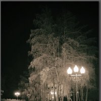 СВОБОДНОЕ ВРЕМЯ.ВЕЧЕР.ФОНАРИ. :: Юрий Ефимов