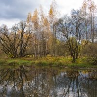 Пойма Сходни. :: Владимир Безбородов