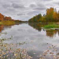 Пасмурно. :: Валера39 Василевский.