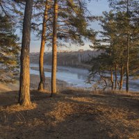 Место съёмки изменить нельзя. :: Михаил Полыгалов