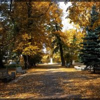 Осень в городском парке :: Владимир Бровко