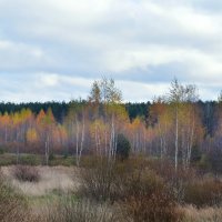 Октябрьская пастель... :: Владимир Рязанов