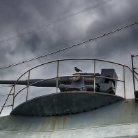 Питер Впередсмотрящая ворона :: Юрий Плеханов