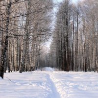 *** :: Горкун Ольга Николаевна 