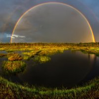 Удача во время ливня на болоте :: Фёдор. Лашков