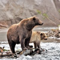 На реке Хакыцин. :: Елена Савчук 