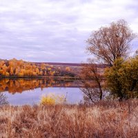 - :: Игорь Александрович Оренбург