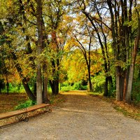 Дорожка в осень :: Светлана 