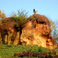 Орёл в  Кисловодском курортном парке :: Нина Бутко