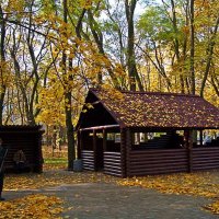 листопад :: Александр Корчемный