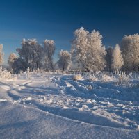 Кружева :: Наталия Женишек