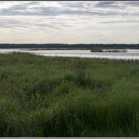 Рязанщина. Река Пра в Стружанах. :: Михаил Розенберг