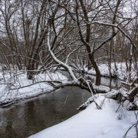 *** :: Владимир Безбородов