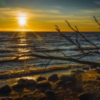 Финский залив; закат :: Ирина Малышева