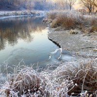 Новые аккорды зимы :: олег свирский 