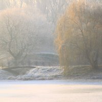 Новые аккорды зимы :: олег свирский 