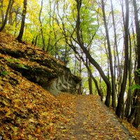 В Кисловодском курортном парке :: Нина Бутко