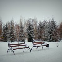 После снегопада . :: Мила Бовкун