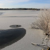 Как на тоненький ледок... :: Ольга 