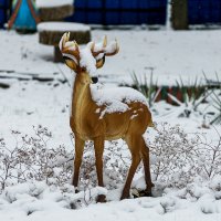 Прошлогодний ноябрь :: Игорь Сикорский