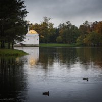 Царское Село, октябрь :: Ирина Малышева