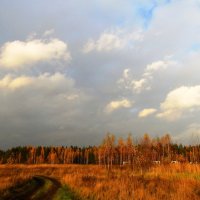 Осеннее небо :: Андрей Снегерёв